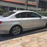 BMW 520i 2010-2017 car window sun shades — photo 11
