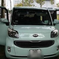 KIA RAY car window sun shades — photo 2