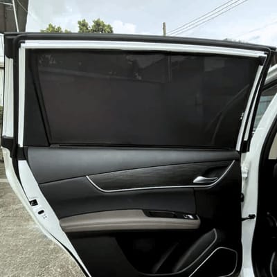 Custom-fit sun shades fitted to a BYD M6