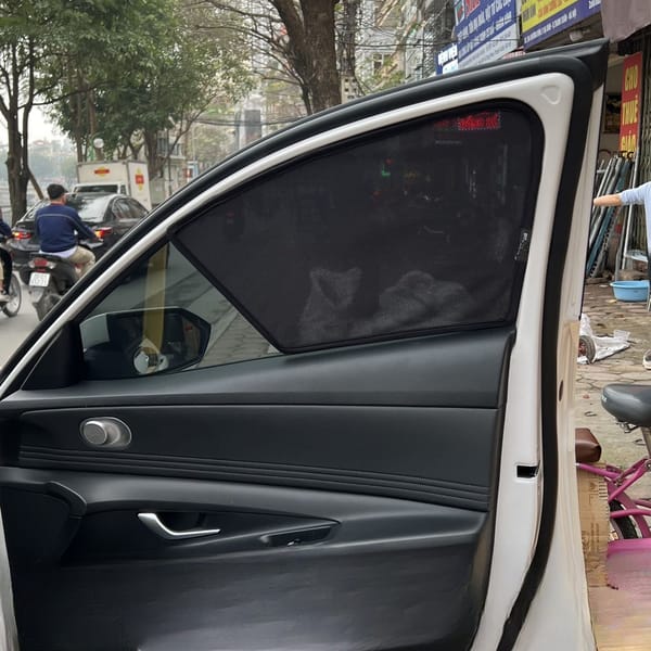 HYUNDAI ELANTRA 2021-2025 custom-fit car window sun shades — photo 4