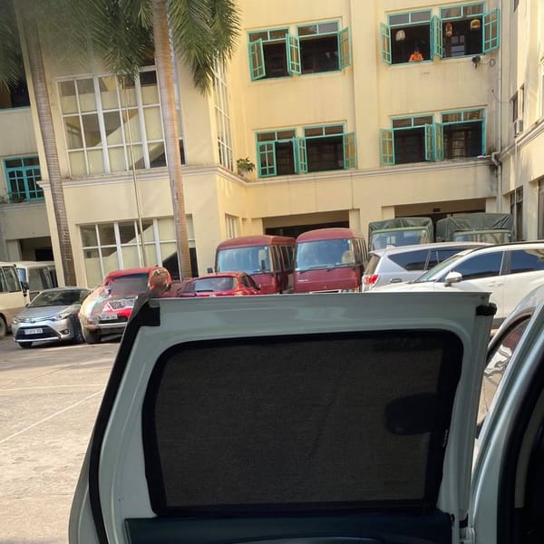 RENAULT DUSTER custom-fit car window sun shades — photo 3