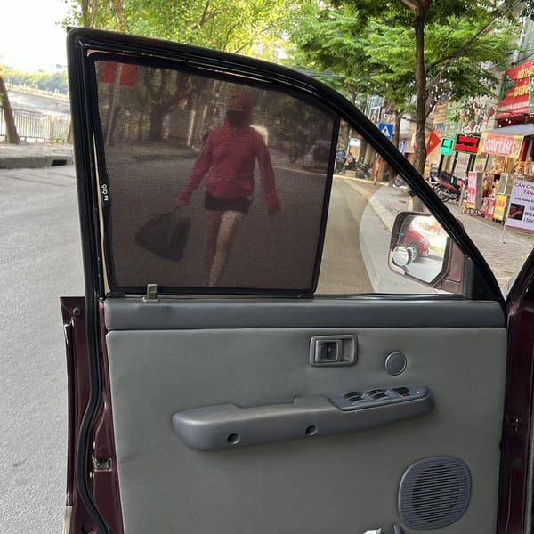 TOYOTA ZACE custom-fit car window sun shades — photo 2