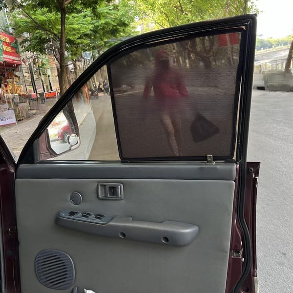 TOYOTA ZACE custom-fit car window sun shades — photo 4