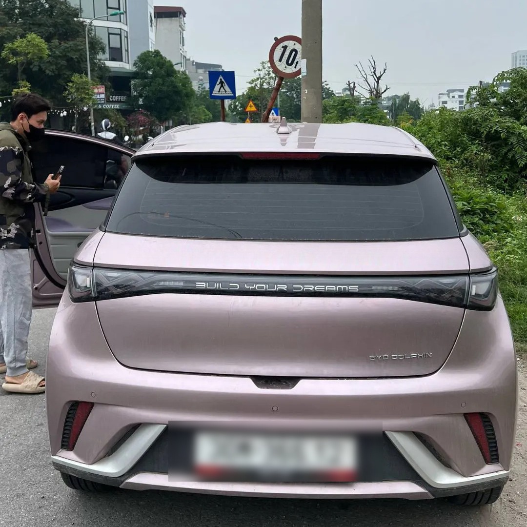 BYD DOLPHIN custom-fit car window sun shades — photo 3