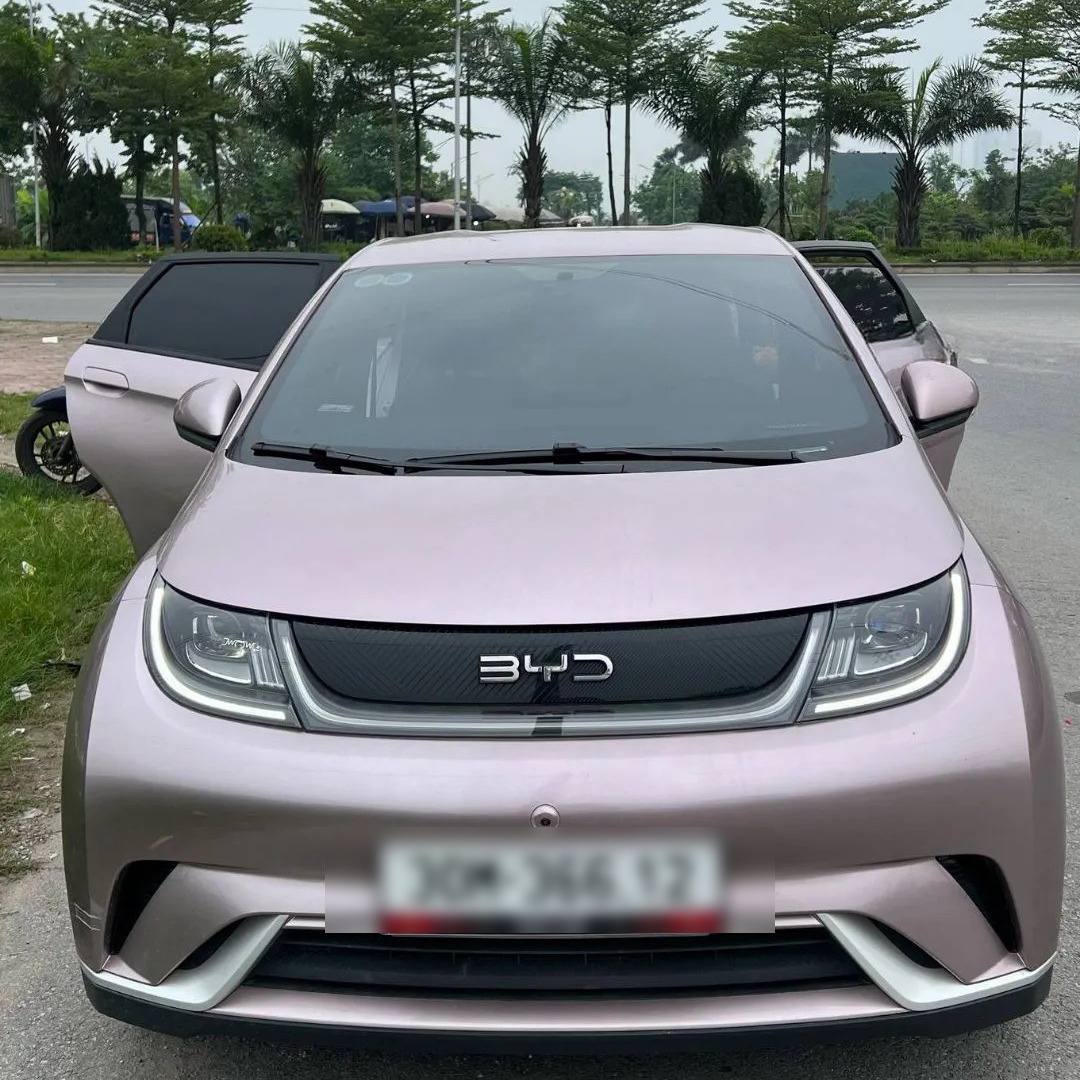 BYD DOLPHIN custom-fit car window sun shades — photo 6