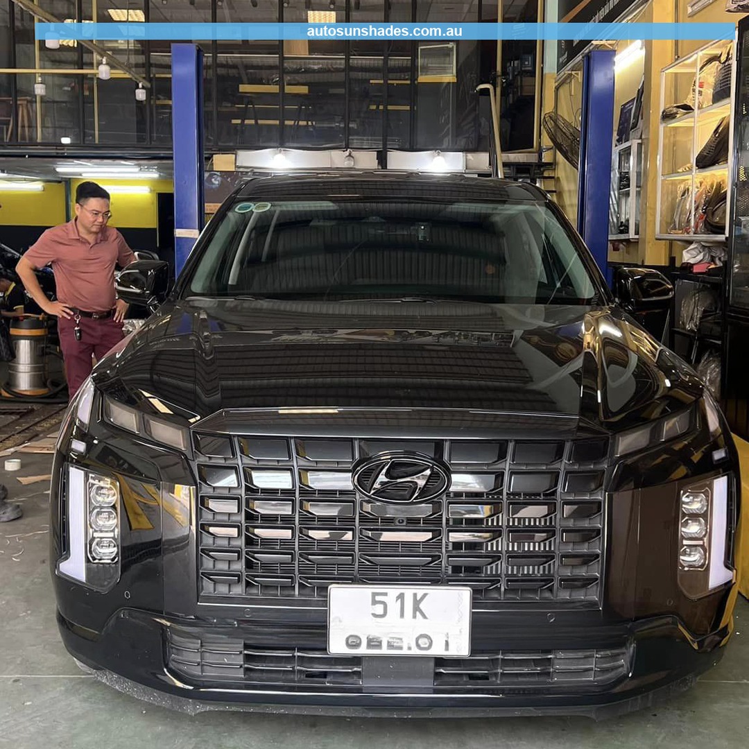 HYUNDAI PALISADE custom-fit car window sun shades — photo 1