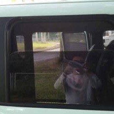 KIA RAY car window sun shades — photo 8