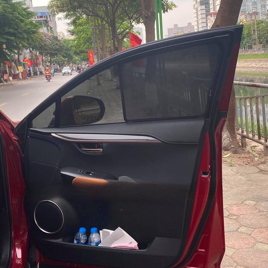 Lexus NX 1st Gen SUV 2015-2021 car window sun shades — photo 4