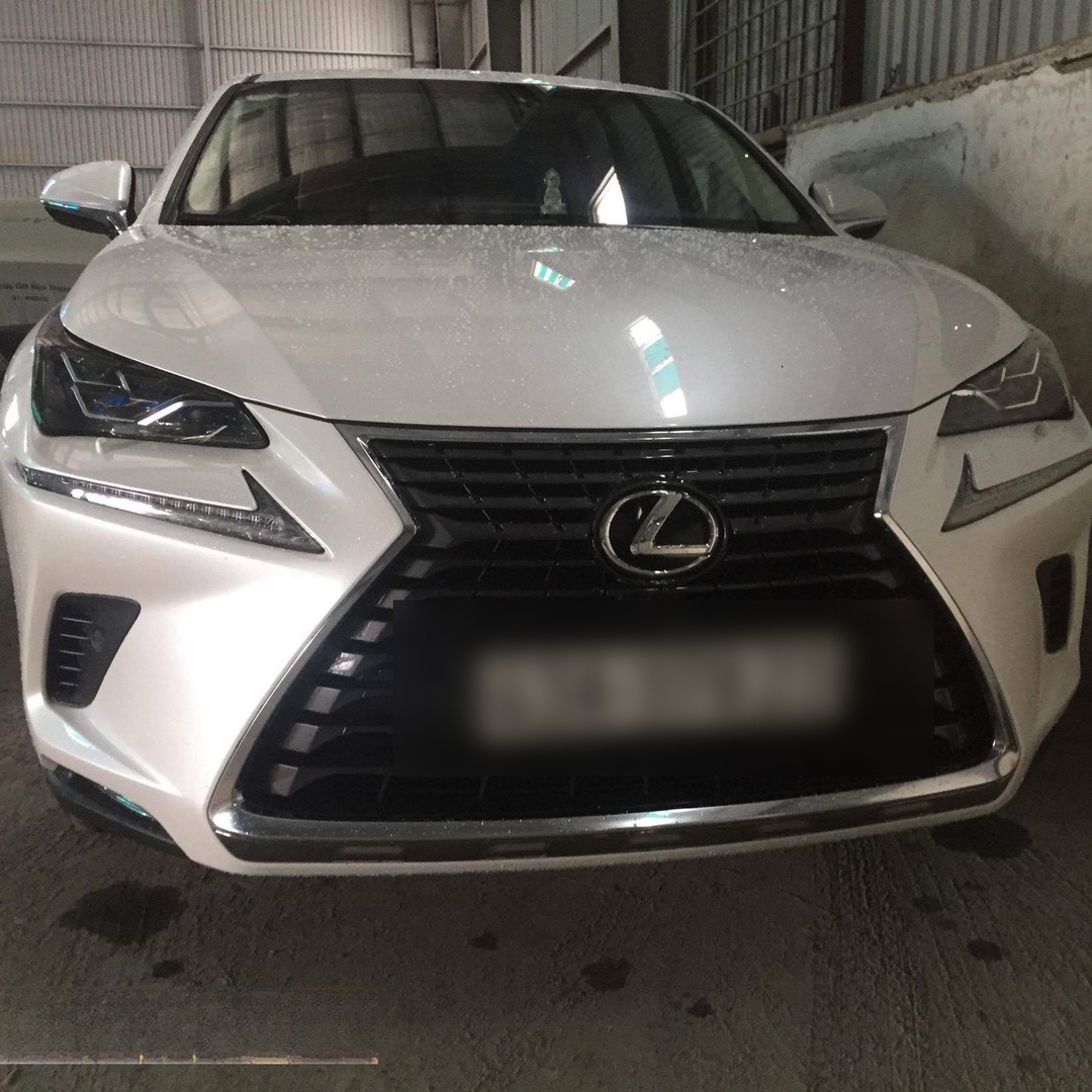 LEXUS NX200T / NX300 2015-2021 custom-fit car window sun shades — photo 1