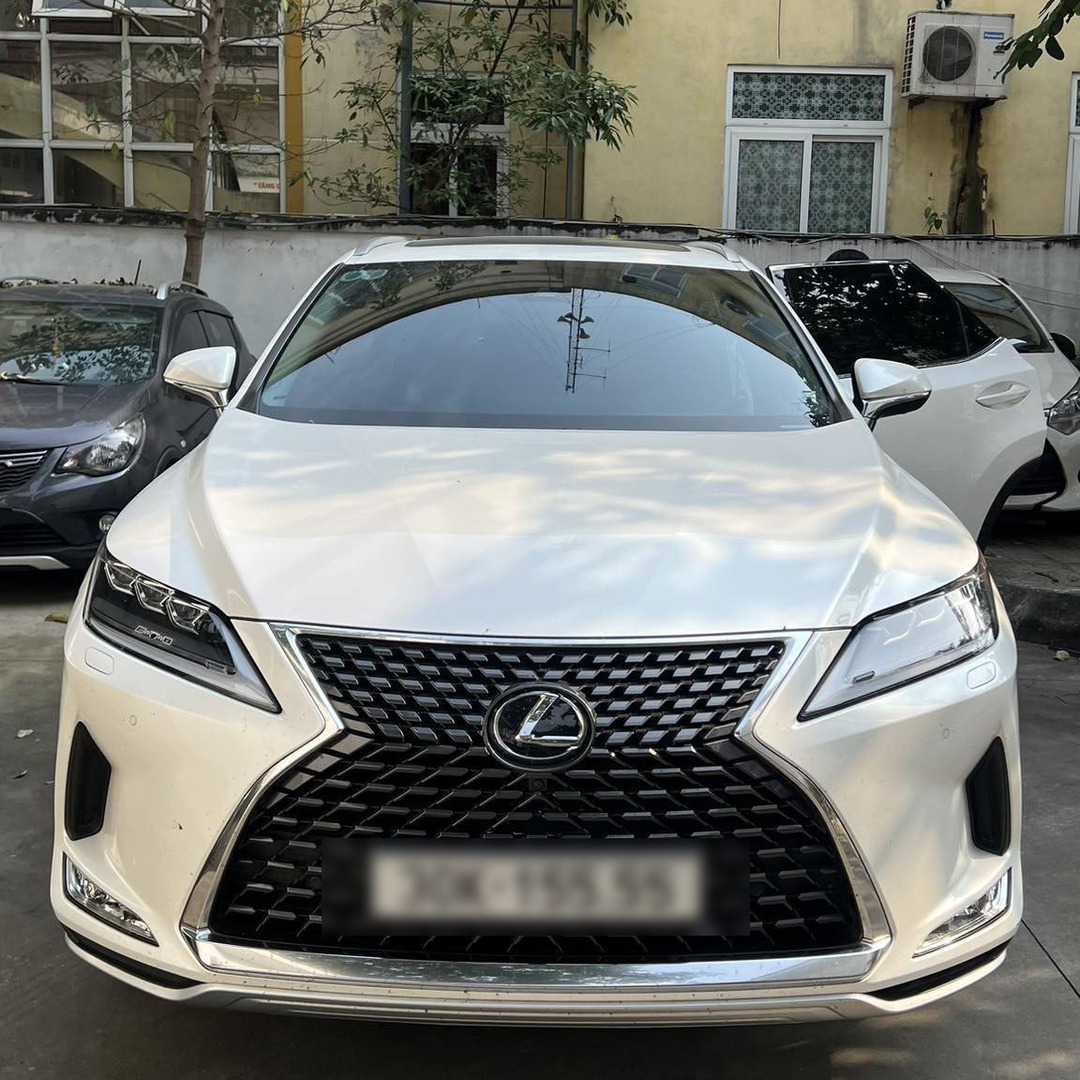 LEXUS RX350 2016-2022 custom-fit car window sun shades — photo 4