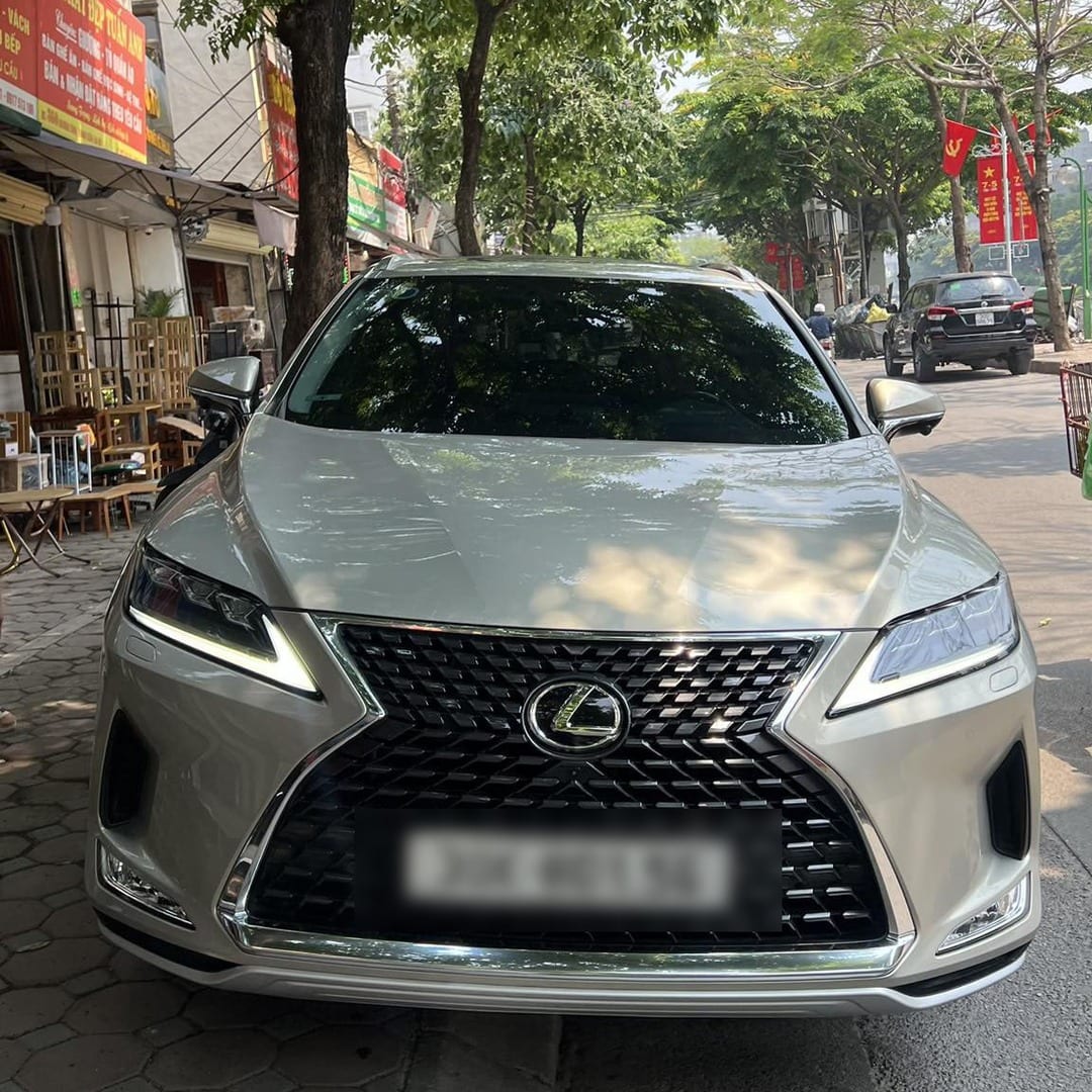 LEXUS RX350 2016-2022 custom-fit car window sun shades — photo 10