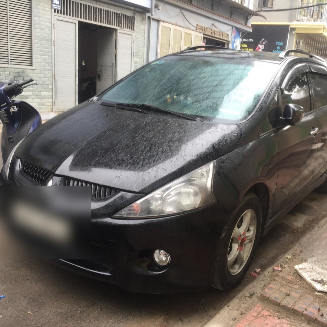 MITSUBISHI GRANDIS custom-fit car window sun shades — photo 7