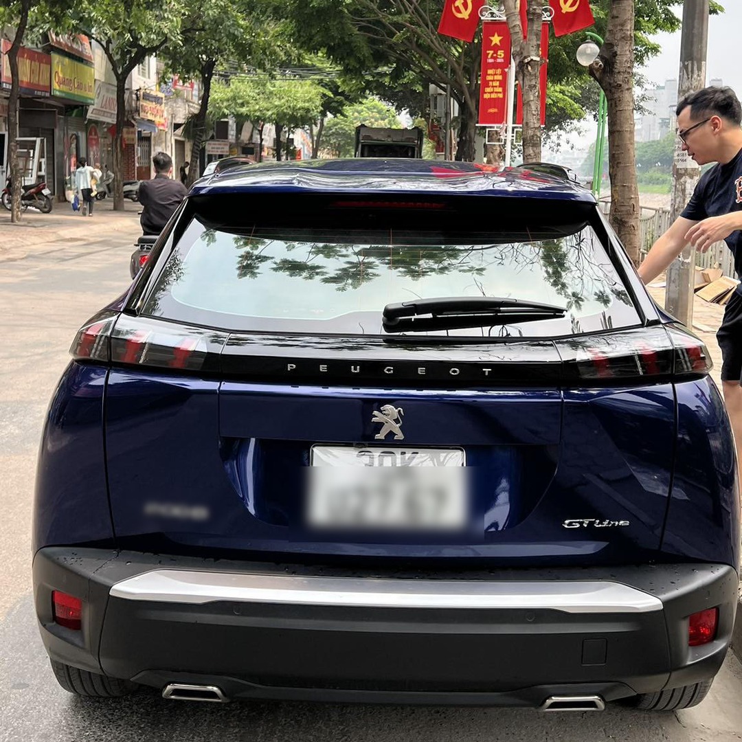 PEUGEOT 2008 custom-fit car window sun shades — photo 4
