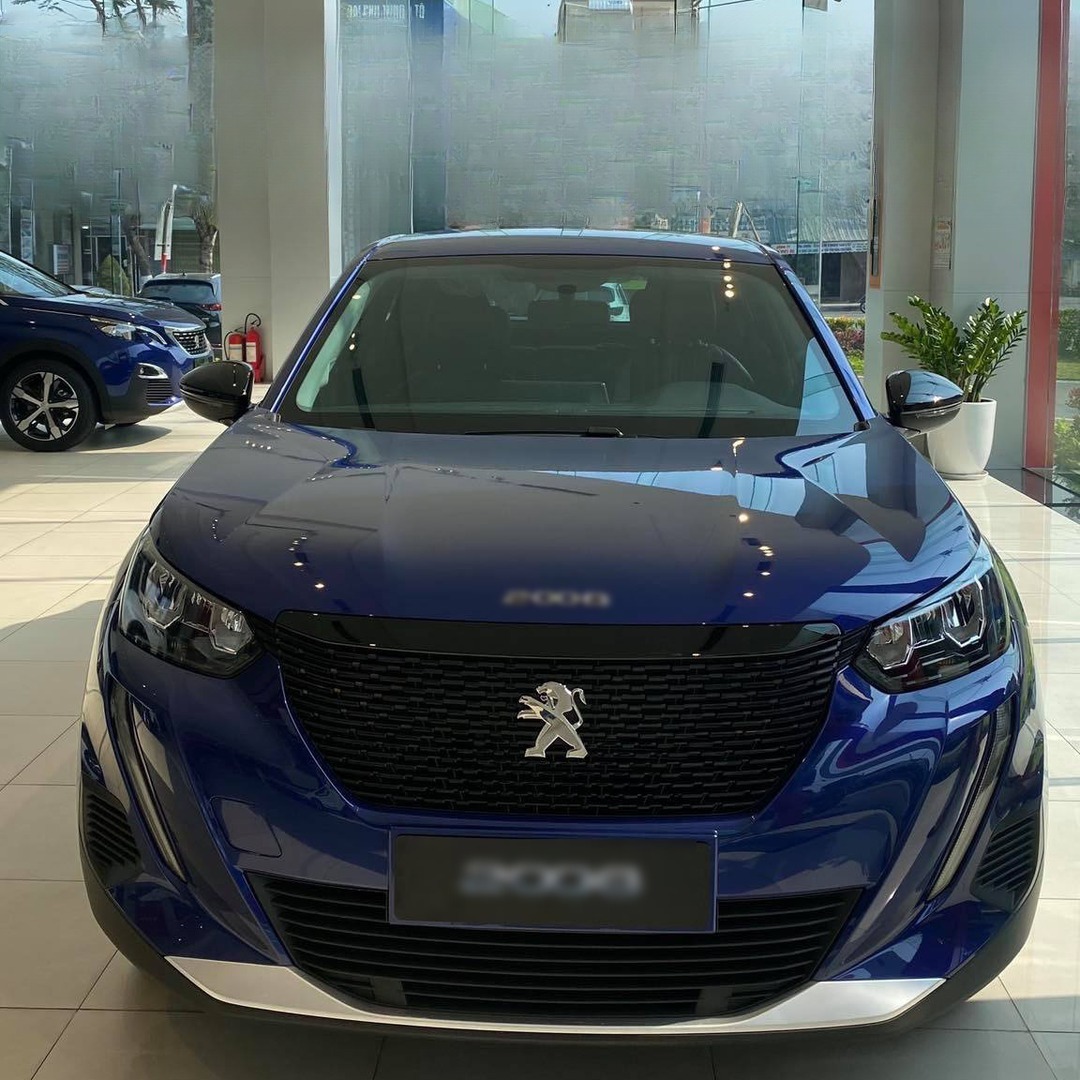 PEUGEOT 2008 custom-fit car window sun shades — photo 8