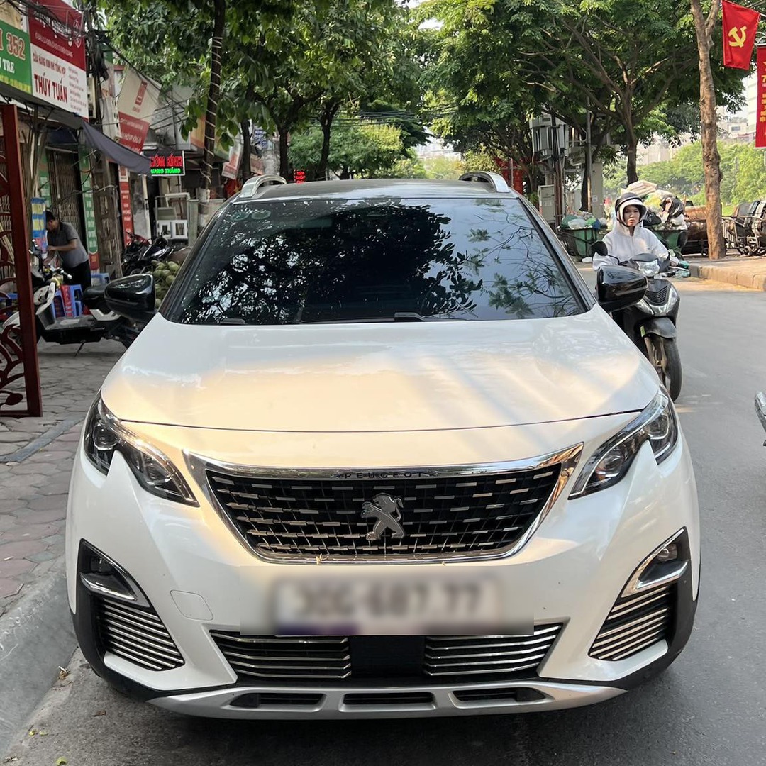 PEUGEOT 3008 ALL NEW custom-fit car window sun shades — photo 1