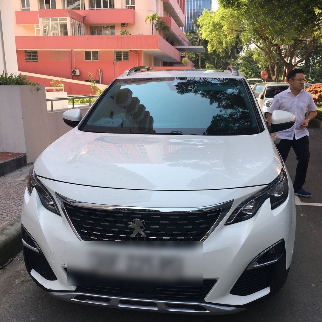 PEUGEOT 3008 ALL NEW custom-fit car window sun shades — photo 7