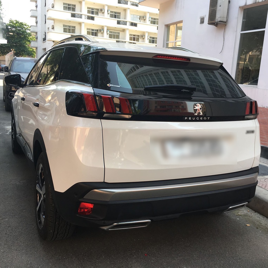 PEUGEOT 3008 ALL NEW custom-fit car window sun shades — photo 10