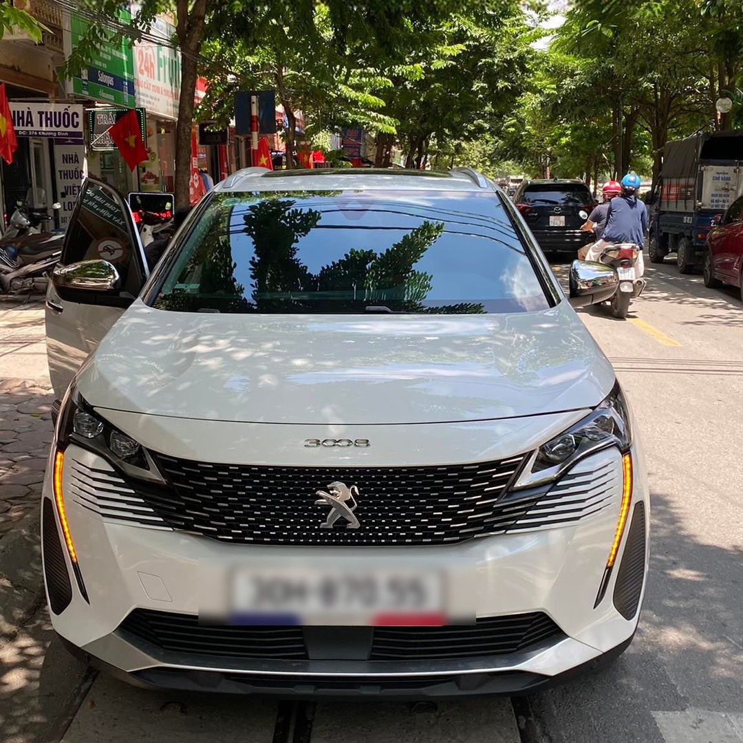 PEUGEOT 3008 ALL NEW custom-fit car window sun shades — photo 13