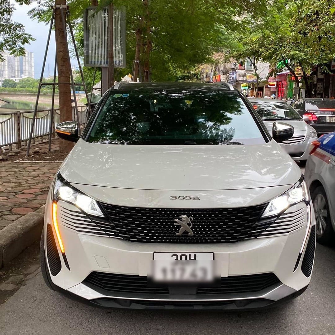 PEUGEOT 3008 ALL NEW custom-fit car window sun shades — photo 19